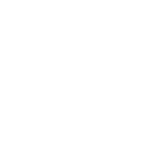  Fast Forward